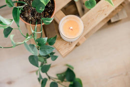 Wellness Guides
