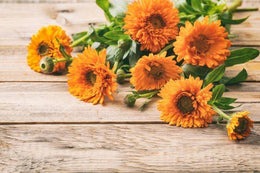 Caring Calendula