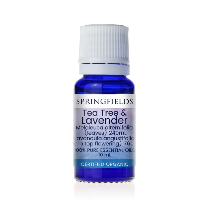 tea tree and lavender Buy Springfields Certified Organic Essential Oil Tea Tree Lavender 10ml Online