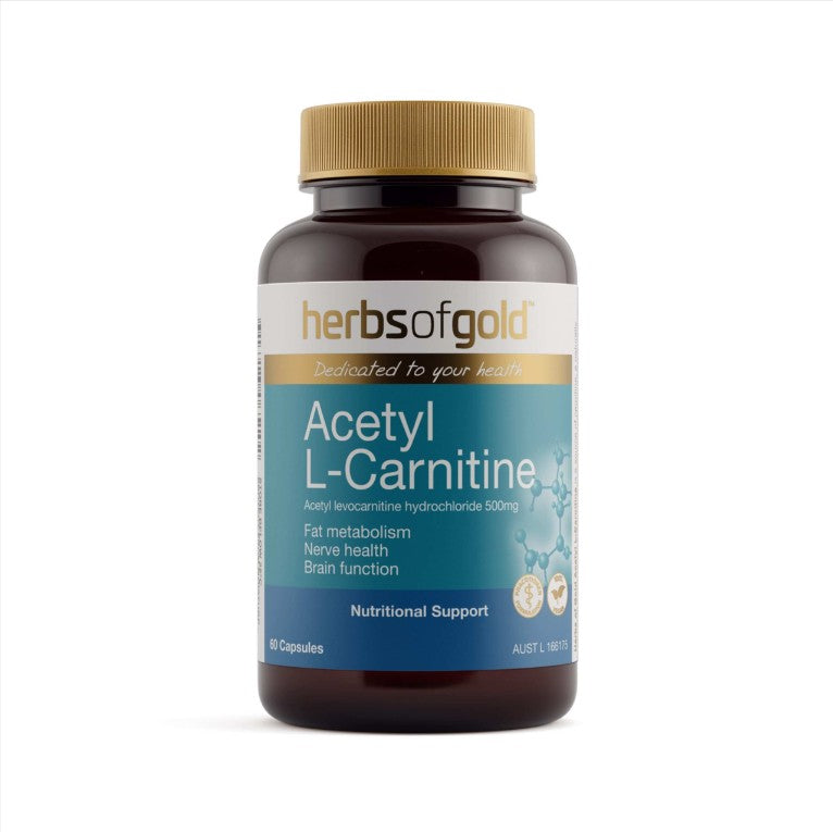 best acetyl l-carnitine australia Henry Blooms Powder 250g for sale online and helps convert fat into energy Best Acetyl L-Carnitine supplement Australia