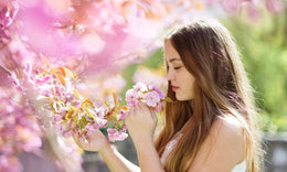 Natural Herbal Support for Sinusitis and Hayfever