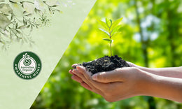 Organic Awareness Month