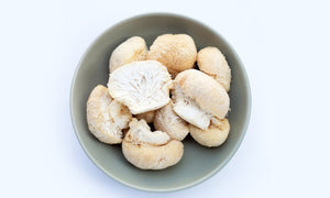 Medicinal Mushrooms Explained