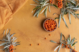 Sea buckthorn skincare benefits mud organics