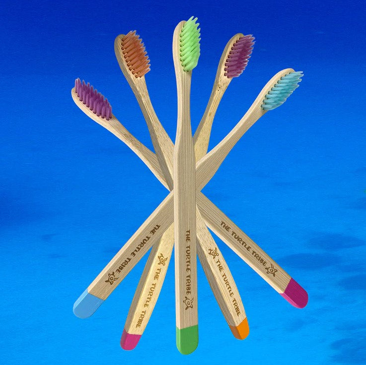 Buy The Turtle Tribe Bamboo Premium Toothbrush MEDIUM 1pk - Box of 12 ...